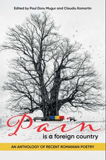 Pain is a Foreign Country