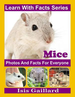 Mice Photos and Facts for Everyone