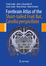 Forebrain Atlas of the Short-tailed Fruit Bat, Carollia perspicillata