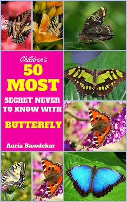 50 Most Secret Never To Know With Butterflies