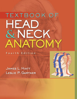 Textbook of Head and Neck Anatomy