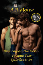 Wishing On the Moon Volume 2