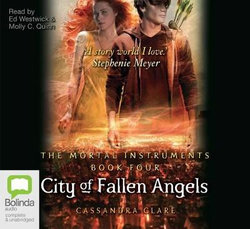 City of Fallen Angels