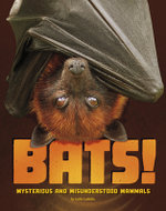 Bats Mysterious and Misunderstood Mammals