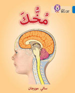Your Brain: Level 16 (Collins Big Cat Arabic Reading Programme)