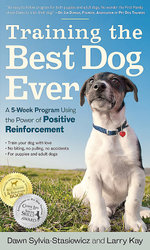 Training the Best Dog Ever