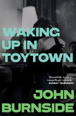 Waking Up in Toytown