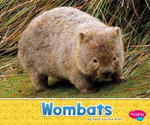 Wombats