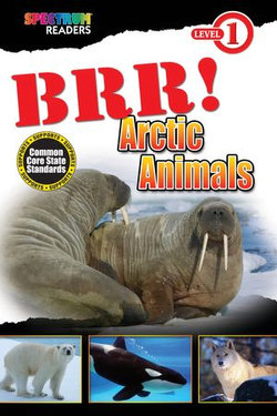 BRR! Arctic Animals
