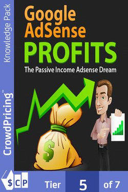 Google AdSense Profits: Learn How You Can Make 1000's of Dollars Per Month by Simply Adding Google AdSense to Your Website!