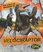 Velociraptor