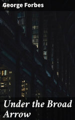 Under the Broad Arrow Under the Broad Arrow