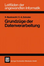 Grundzuege der Datenverarbeitung