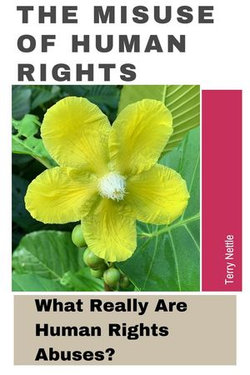 The Misuse Of Human Rights: What Really Are Human Rights Abuses?