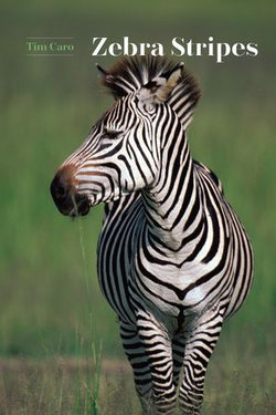 Zebra Stripes Zebra Stripes