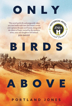 Only Birds Above
