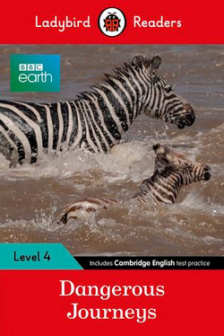 Ladybird Readers Level 4 - BBC Earth - Dangerous Journeys (ELT Graded Reader)