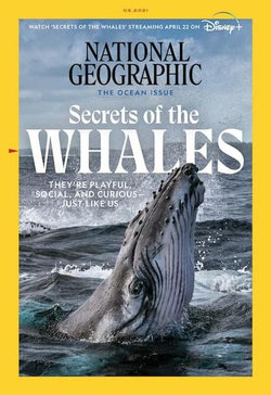 National Geographic - 12 Month Subscription