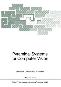 Pyramidal Systems for Computer Vision