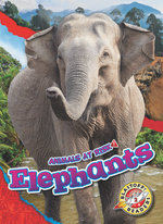 Elephants