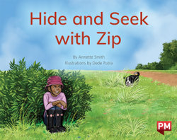 Hide and Seek with Zip