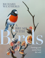 A Brush with Birds