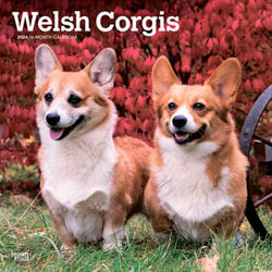 Welsh Corgis - 2024 Wall Calendar