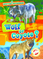 Wolf or Coyote?