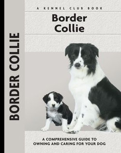 Border Collie Border Collie