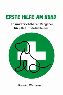 Erste Hilfe Am Hund