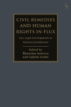 Civil Remedies and Human Rights in Flux