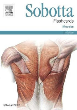 Sobotta Flashcards Muscles 1e Sobotta Flashcards Muscles 1e