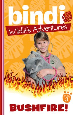 Bushfire!