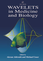 Wavelets in Medicine and Biology