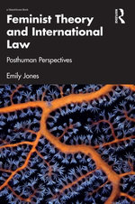 Feminist Theory and International Law