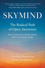Skymind