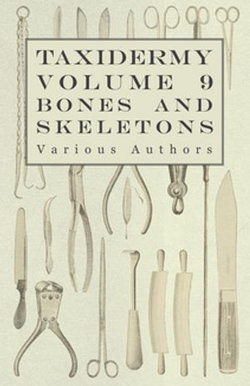 Taxidermy Vol. 9 Bones and Skeletons - The Collection, Preparation and Mounting of Bones Taxidermy Vol. 9 Bones and Skeletons - The Collection, Preparation and Mounting of Bones