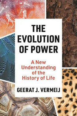 The Evolution of Power The Evolution of Power