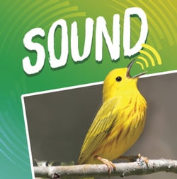 Sound Sound