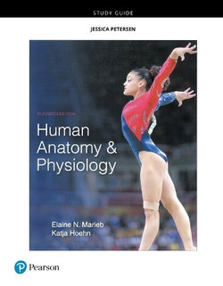 Study Guide for Human Anatomy and Physiology