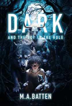 Dark: and the Boy in the Hole