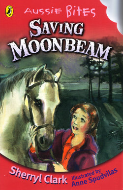Saving Moonbeam: Aussie Bites