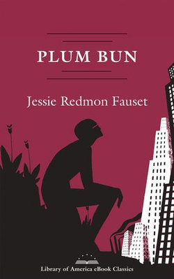 Plum Bun: A Novel Without a Moral