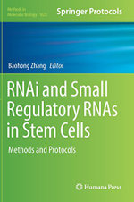 RNAi and Small Regulatory RNAs in Stem Cells