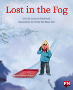 Lost in the Fog