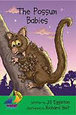 Rus Possum Babies- Sails Early 4f Rus Possum Babies- Sails Early 4f