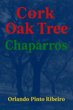 Cork Oak Tree
