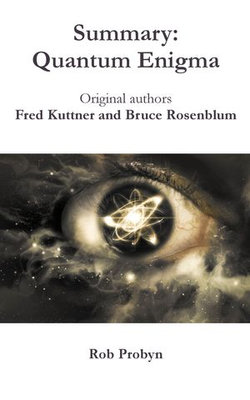Summary: Quantum Enigma