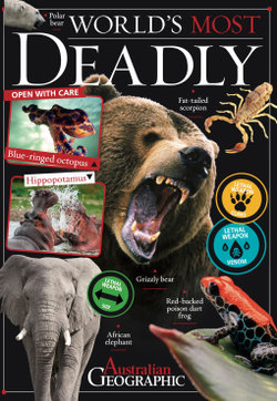 World's Most Deadly