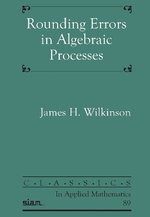 Rounding Errors in Algebraic Processes